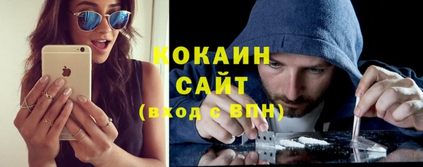 spice Бородино