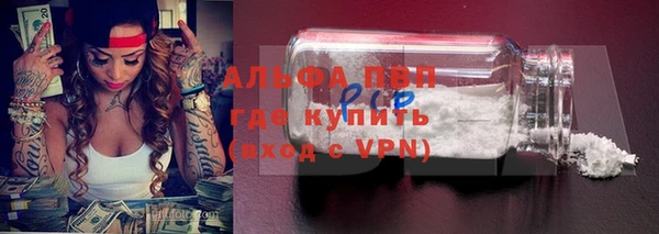 spice Бородино