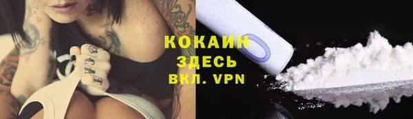 стаф Бронницы