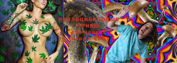 spice Бородино