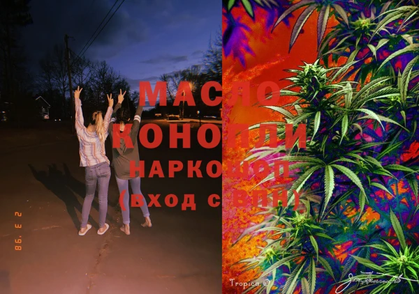 spice Бородино