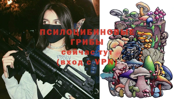 spice Бородино