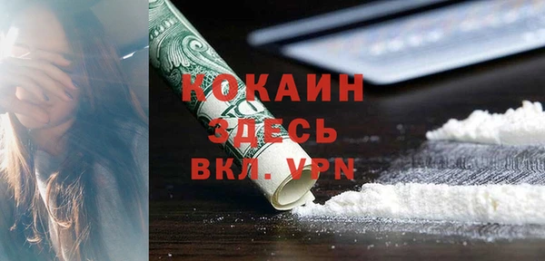 spice Бородино