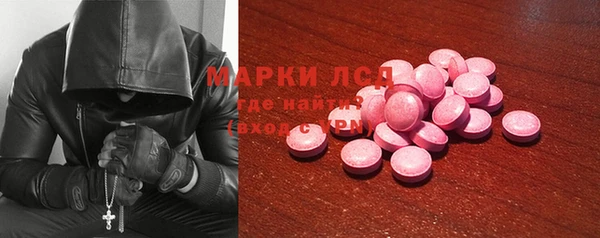 spice Бородино